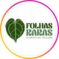 Folhas Raras
